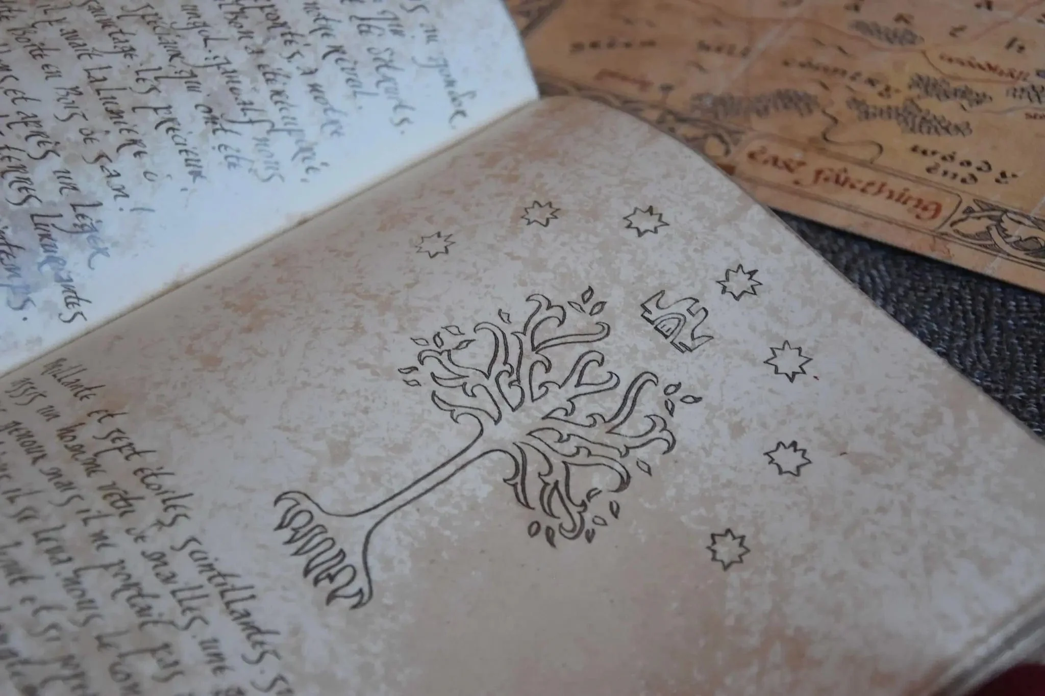 Reproductions/Création de Livres - Image 8