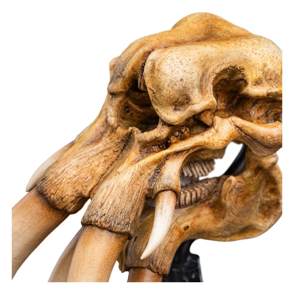 Skull of Mûmak Weta 2025 - Image 4