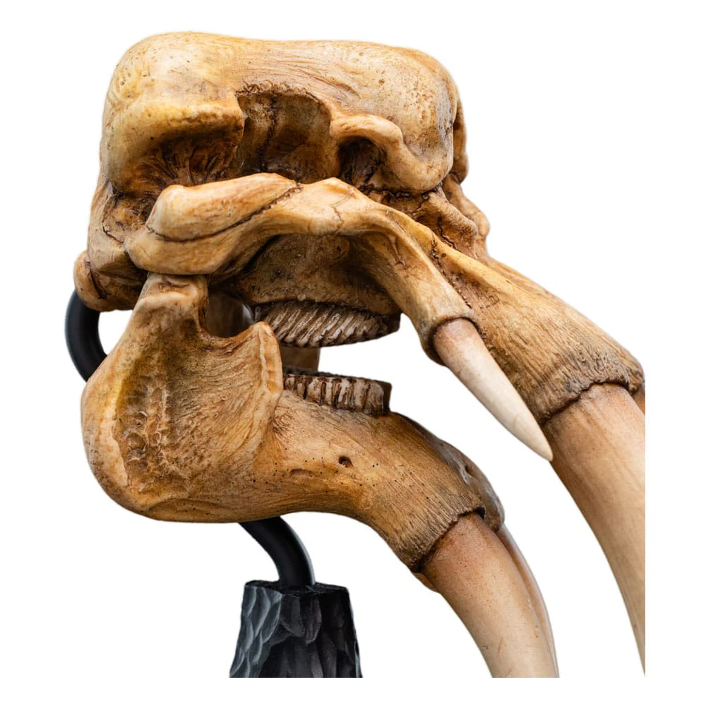 Skull of Mûmak Weta 2025 - Image 5